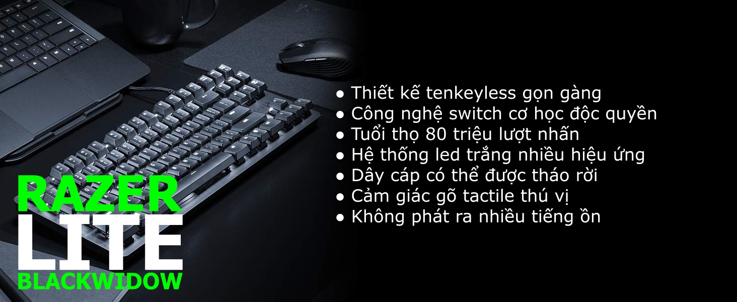 Bàn phím cơ Razer Blackwidow Lite Silent (RZ03-02640100-R3M1) (USB/TKL/Orange Switch)