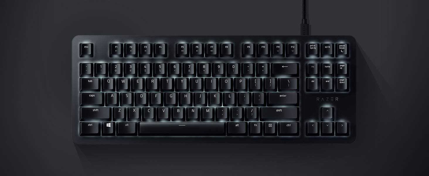 Bàn phím cơ Razer Blackwidow Lite Silent (RZ03-02640100-R3M1) (USB/TKL/Orange Switch)