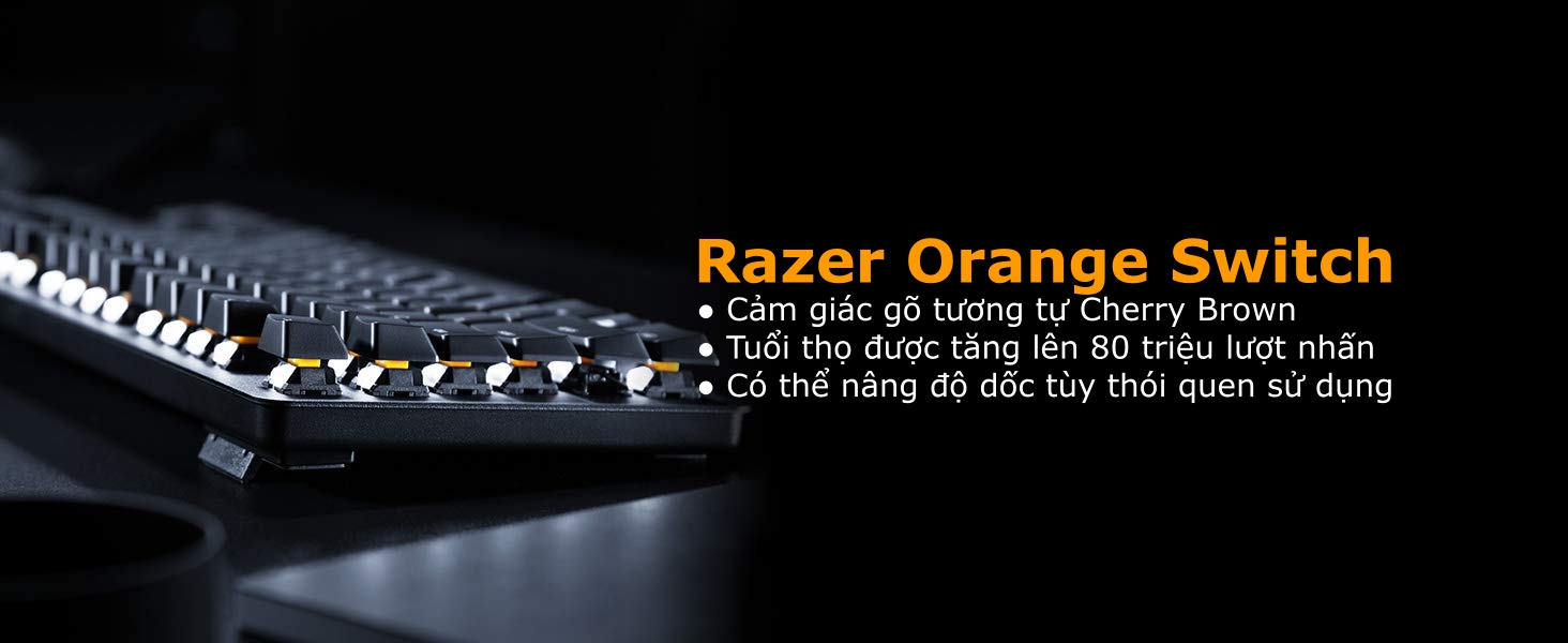 Bàn phím cơ Razer Blackwidow Lite Silent (RZ03-02640100-R3M1) (USB/TKL/Orange Switch)